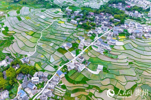 �����F��л�Ϫ�^(q��)��������������W(w��ng)ӛ�� Ϳ���z